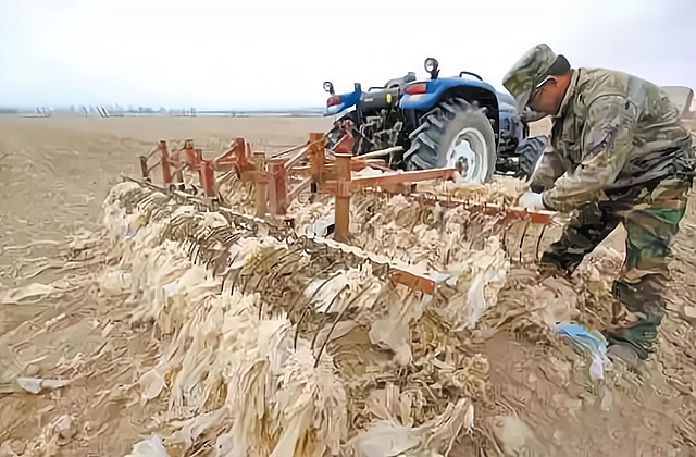 农村地膜白色污染以前和现在回收对比可降解地膜将成主流