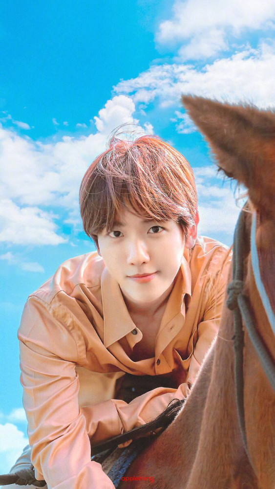 边伯贤壁纸精选80张,百变的气质