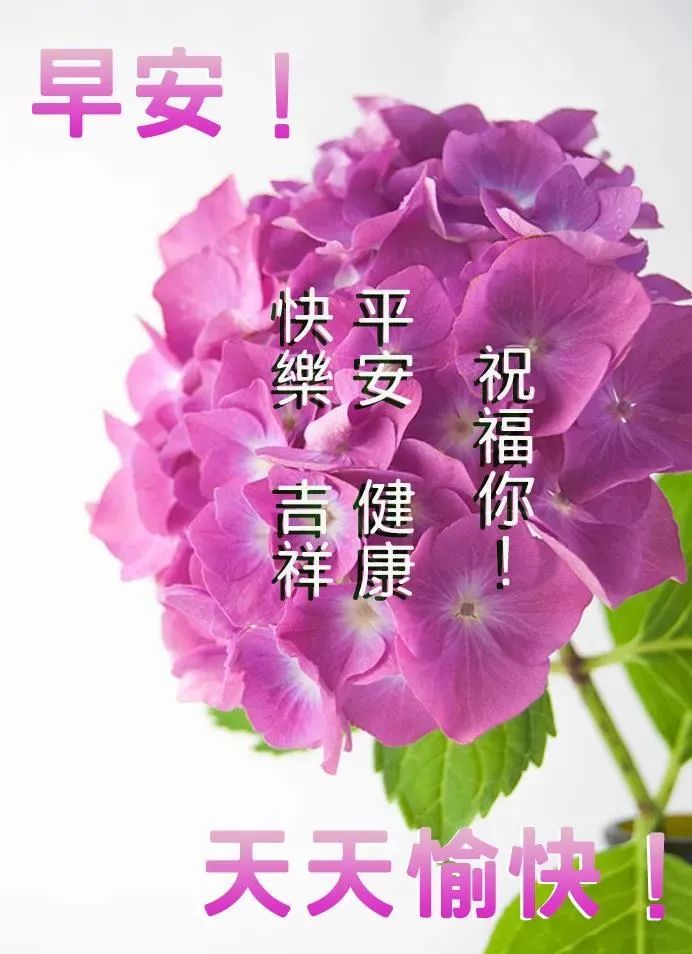 6月30日早上好每日問候