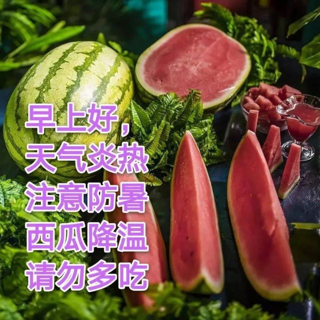 早上好朋友最新创意好看的早上好图片带祝福语不用打字聊天的早上好