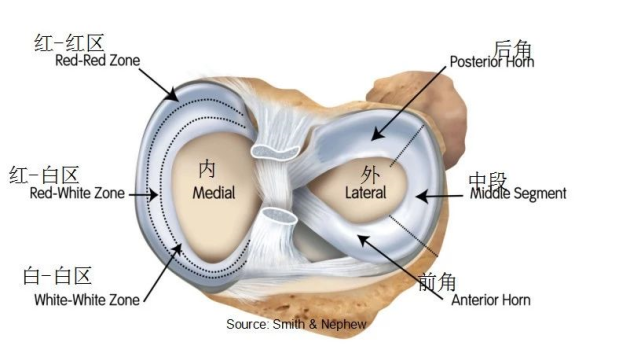 骨科精读详解半月板缝合技术骨科医生必备技能
