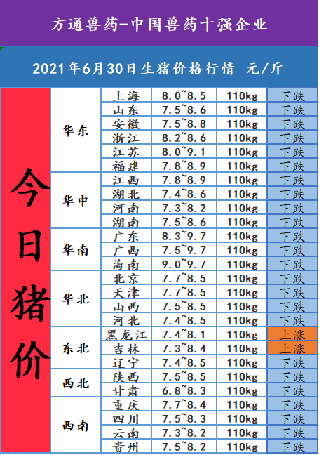 2021年6月30日今日豬價