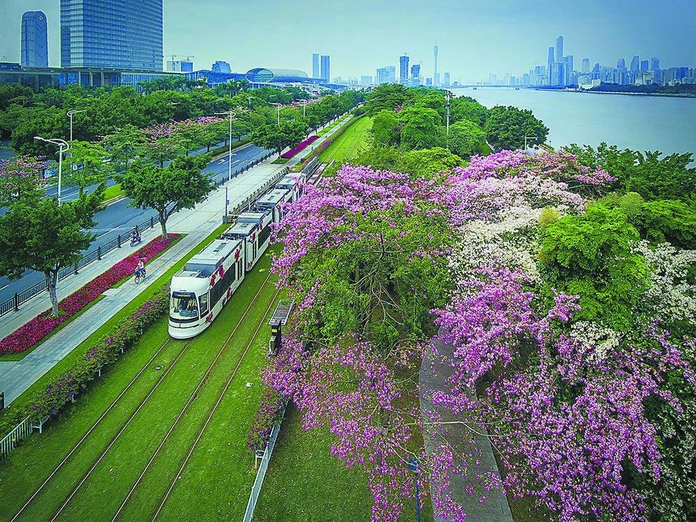 广州市林业和园林局:深耕城市绿化建设,擦亮花城金字招牌_腾讯新闻