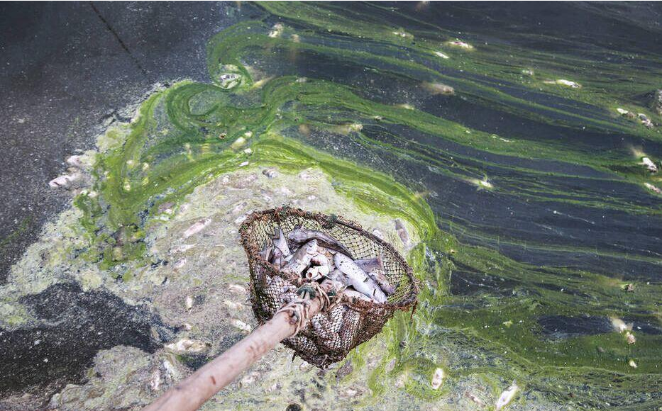 物业非法排污,靠滥诉强收物业费竟胜诉.