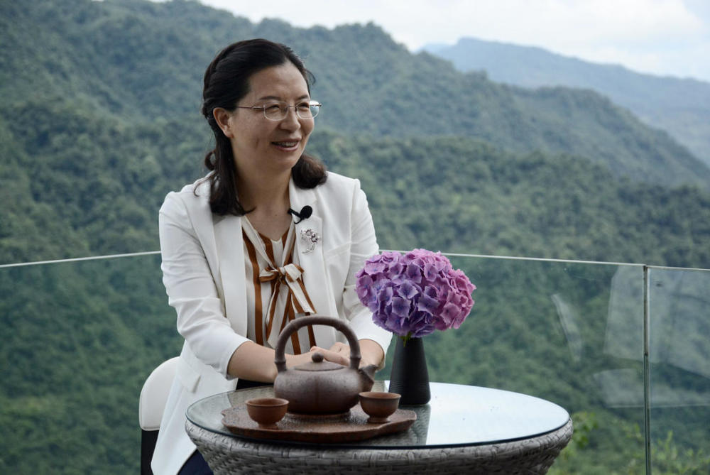 全国优秀县委书记李蓉一位女县委书记的刚与柔