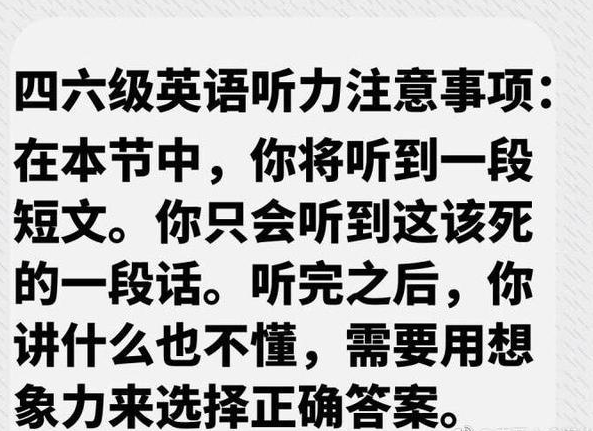 大学生对英语四级说到我听不懂你的听力你也别想看懂我的翻译