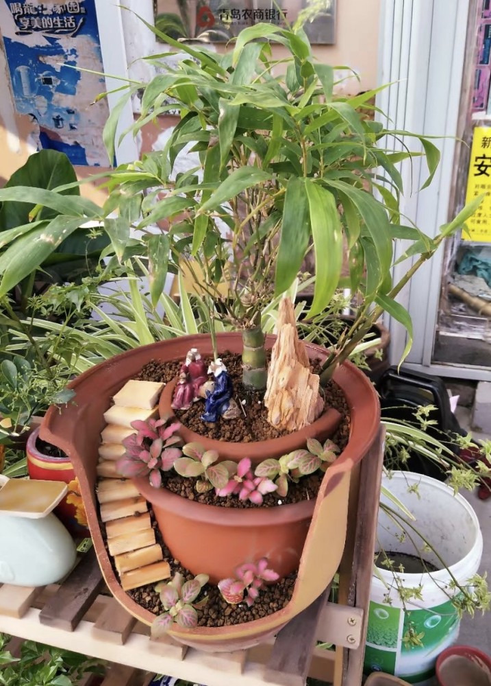 青岛大叔创意改造废酒瓶为花盆 曾从事家具建造 自己研究雕刻方法