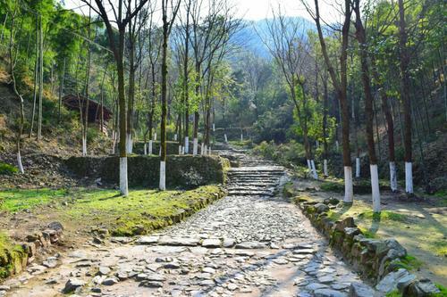 仙霞岭路北起浙江江山,南至福建浦城100余公里,曲折狭窄,两侧山高谷深