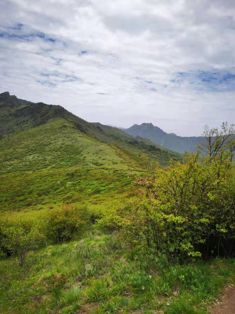 秦嶺玩穿越累並快樂著,高山草甸上美若仙境般