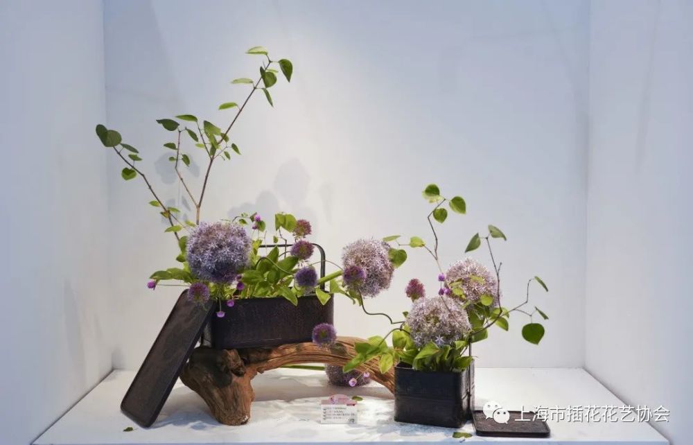 花博会丨插花大师亮相全国展赛 用精美花艺作品贺 百年 腾讯新闻