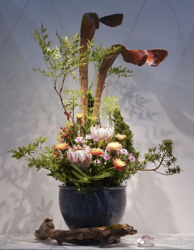 花博会丨插花大师亮相全国展赛 用精美花艺作品贺 百年 腾讯新闻