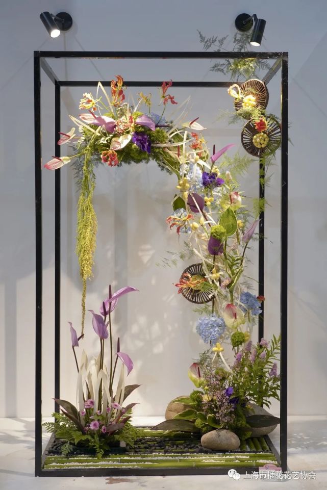 花博会丨插花大师亮相全国展赛用精美花艺作品贺百年