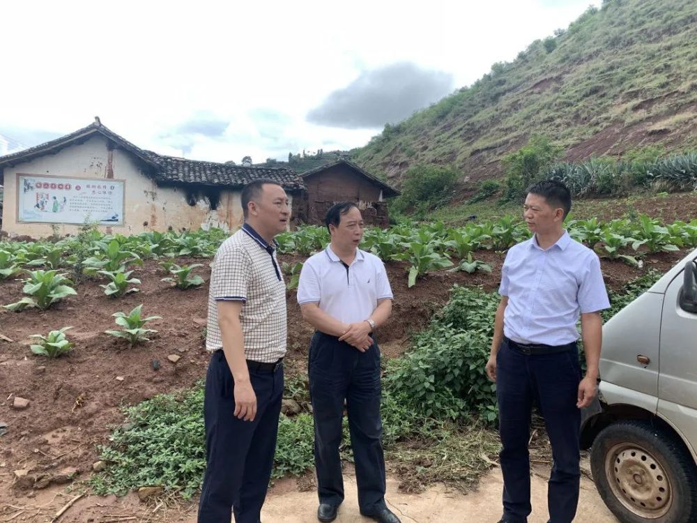 省督查组到我县督查防汛减灾和地质灾害防治工作