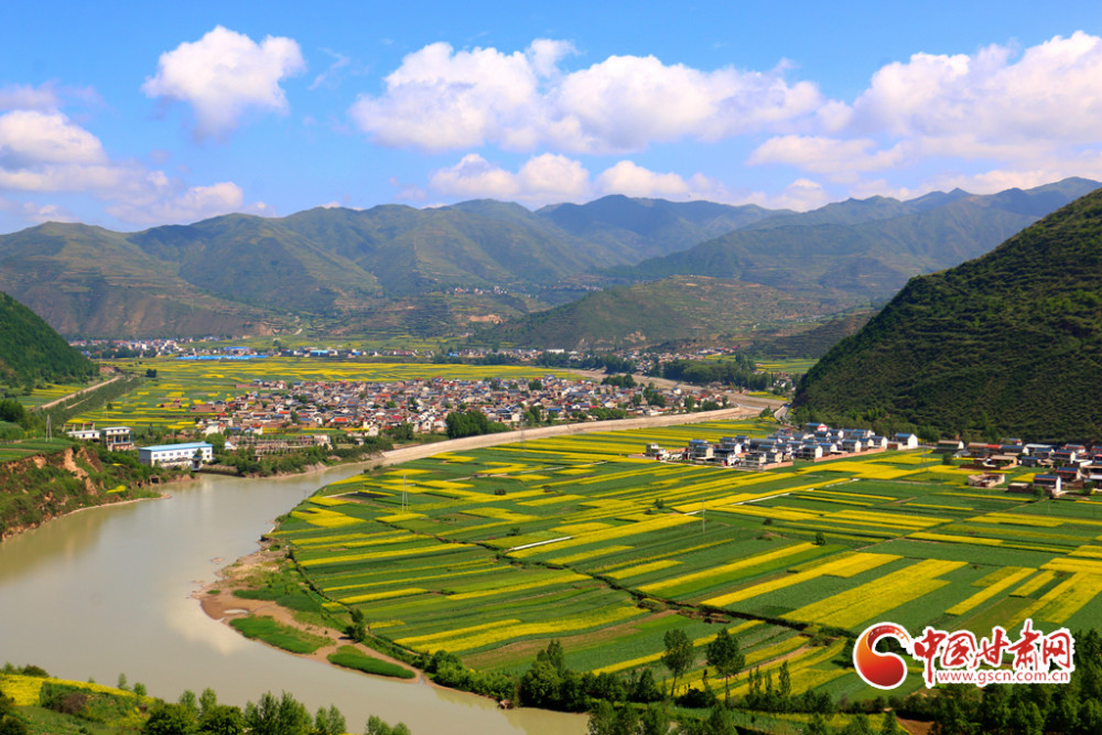 定西岷县:油菜花香洮水岸_腾讯新闻