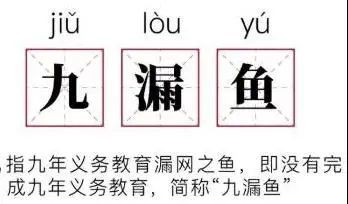 爱豆高考307分粉丝却骂清华博士是九漏鱼