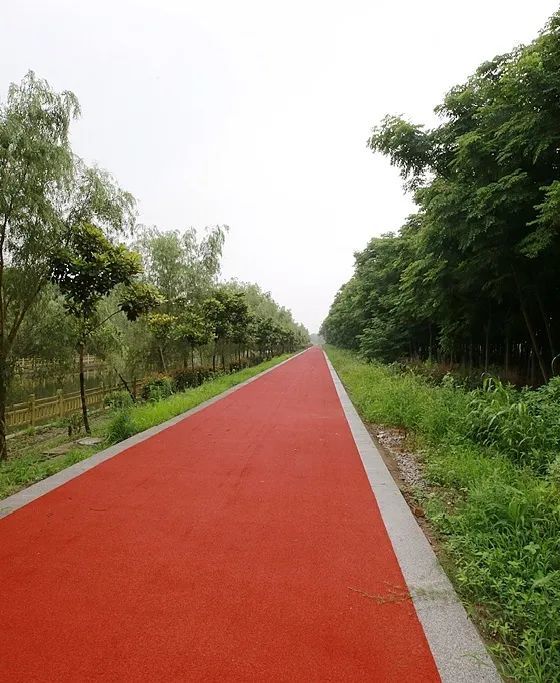 超赞10公里慢行步道将全线贯通