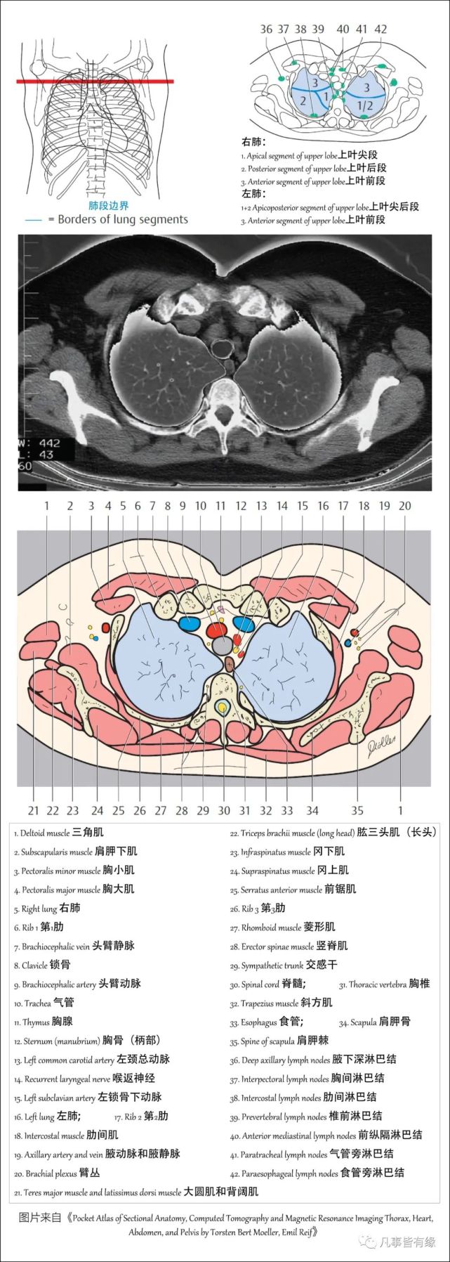 叠瓦状断层示意图图片