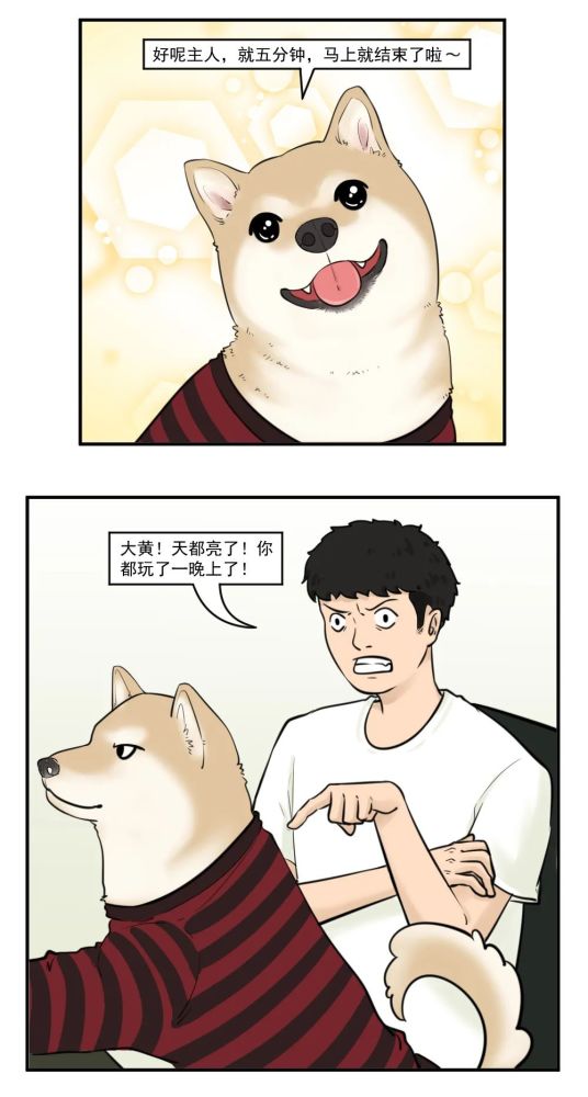 我家狗狗会打拳皇