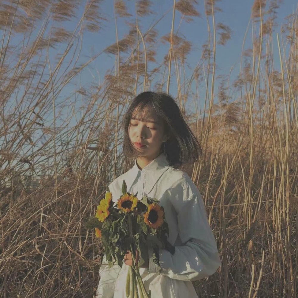 捧花女生头像遇见你后睁眼是花田闭眼是星河