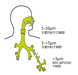 雾化吸入的这些问题是否让你一头雾水