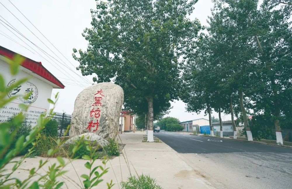 【建党100周年】大黑坨村:根植红色沃土 建好大钊故里_腾讯新闻