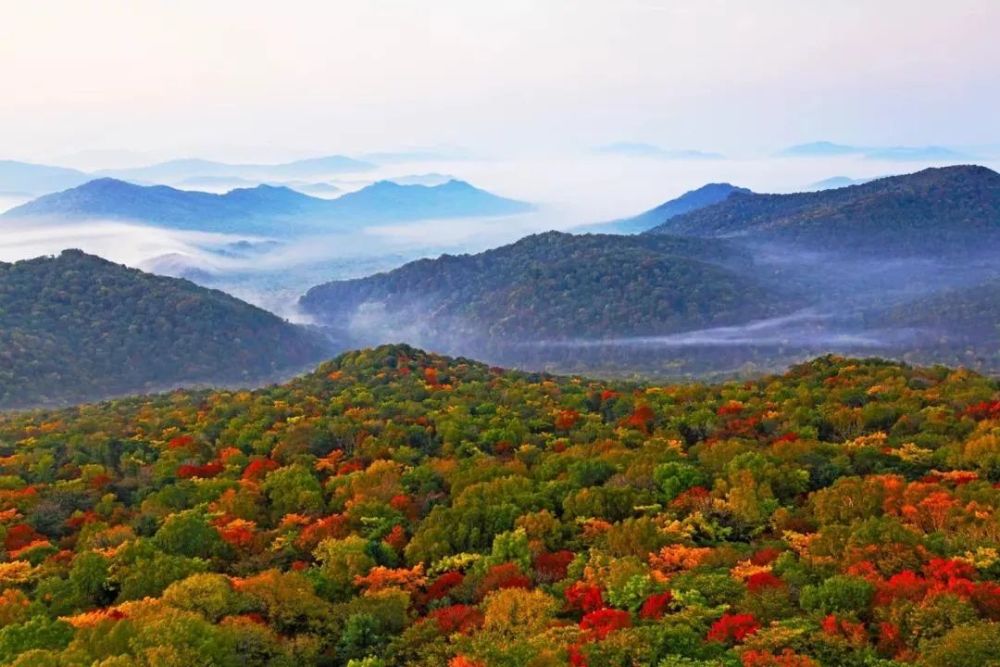 黑龙江金龙山国家森林公园