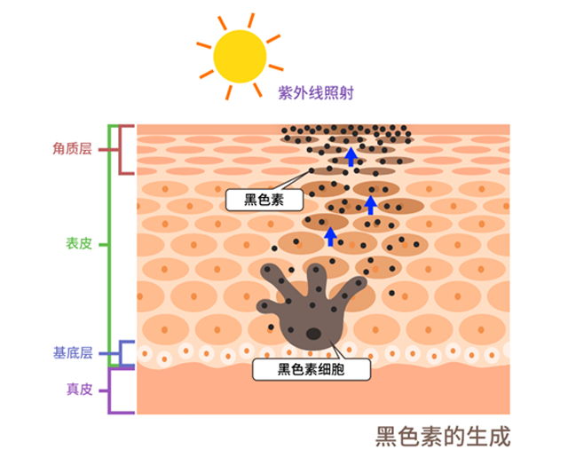 防晒只是为了防止被晒黑 不 还有你的皮肤健康 腾讯新闻