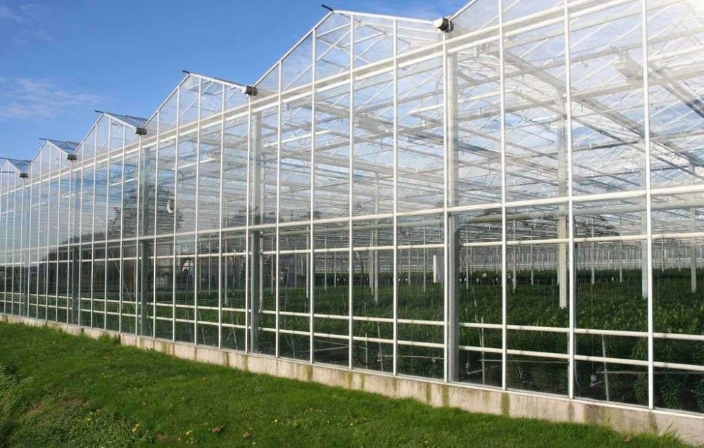 pc阳光板温室大棚的突然增加,原因是这个!