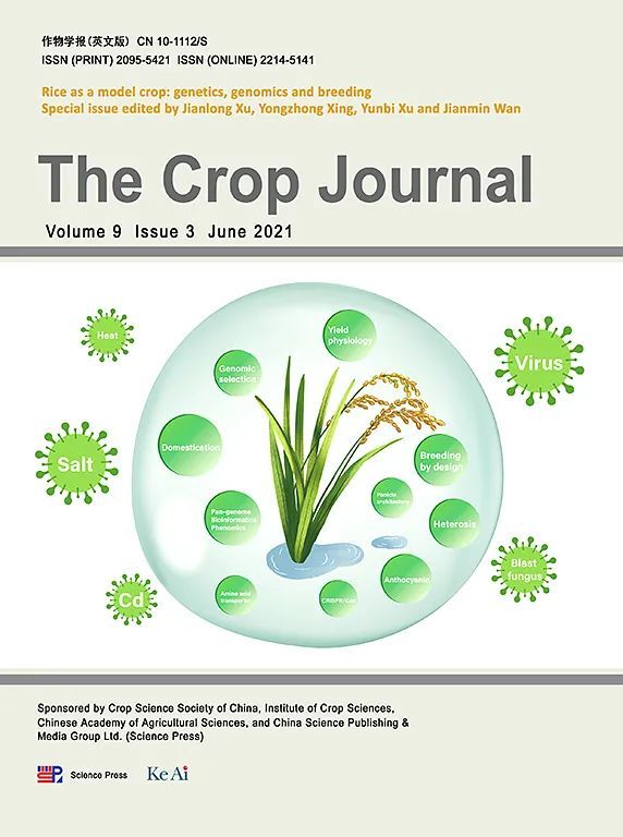 KeAi期刊最新影响因子公布_腾讯新闻