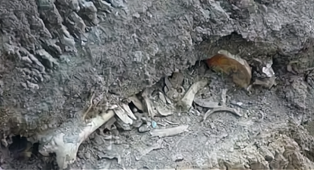 回顾张家口水泥藏尸案现代版窦娥冤女会计含冤被骂21年