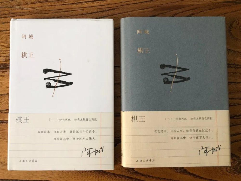 忍无可忍的盗版书