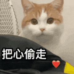 641