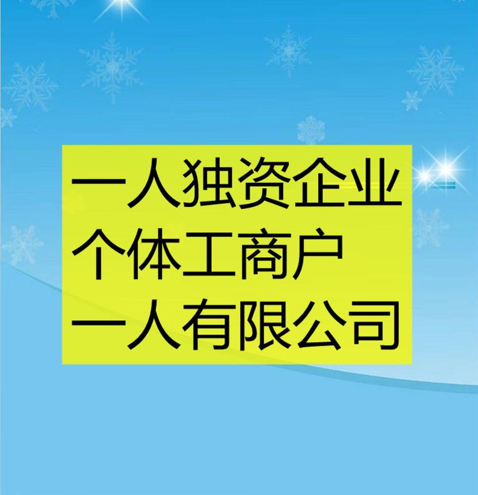 什么是个人独资企业法规定的最主要的责任种类 _什么是个人独资企业-第1张图片-潮百科