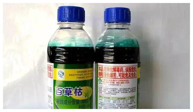 饮料来喝于是2013年李德军开始对技术进行了改良又将百草枯做成无尘