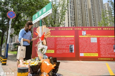 这盛世如你所愿 合肥 延乔路 路牌下堆满了市民献上的鲜花