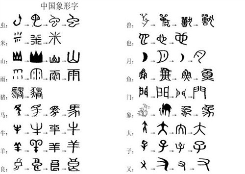 文字可以按照字音,字形分类,分为音意文字,表音文字和表行文字;也可以