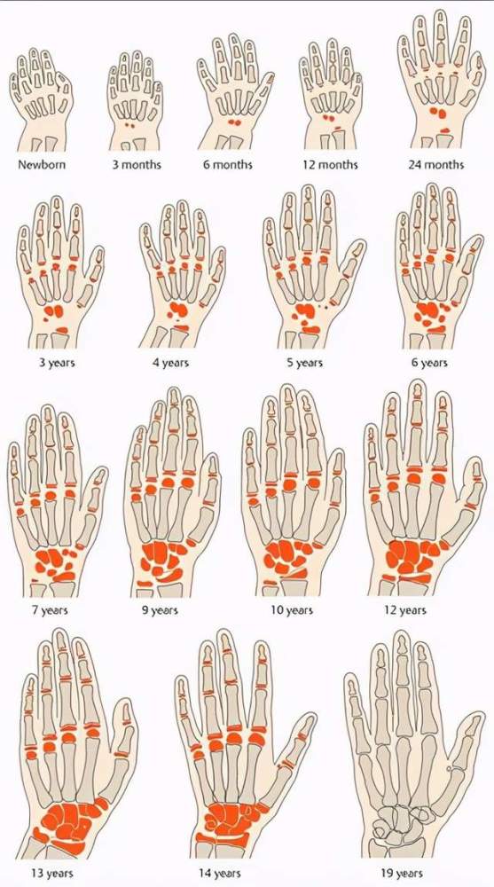 8岁儿童骨龄对照表图片