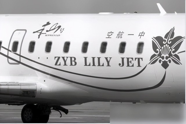 09年赵本山买了架私人飞机王思聪赵本山是个耍彪的农民