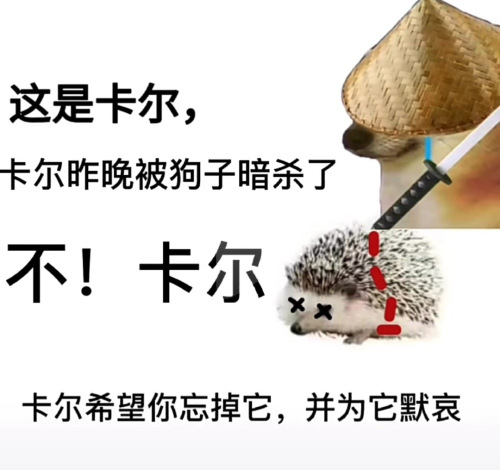 "谁能拒绝可爱的小刺猬卡尔呢"表情包