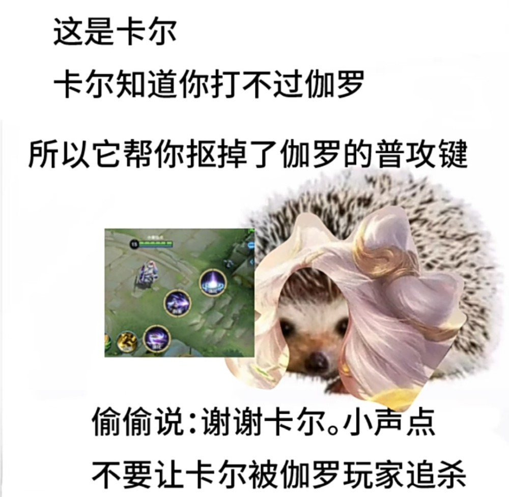 "谁能拒绝可爱的小刺猬卡尔呢"表情包