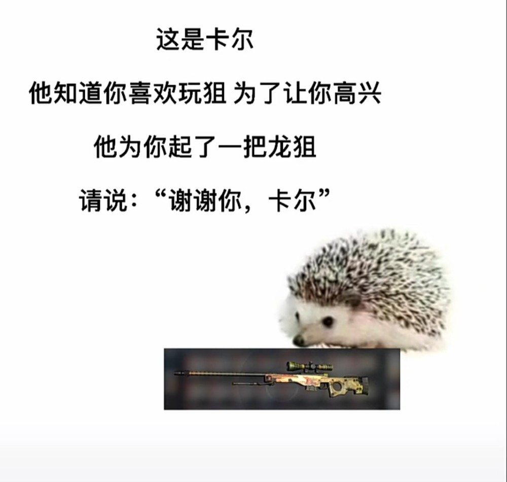 "谁能拒绝可爱的小刺猬卡尔呢"表情包