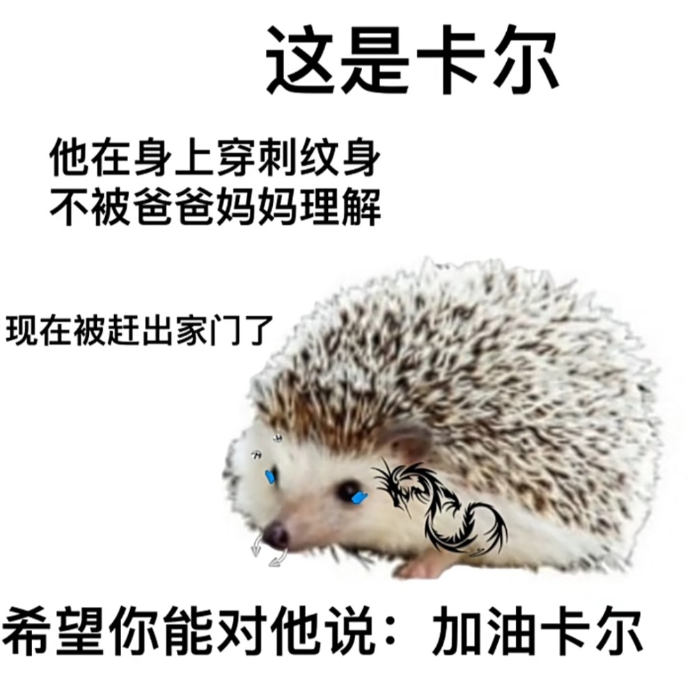 "谁能拒绝可爱的小刺猬卡尔呢"表情包