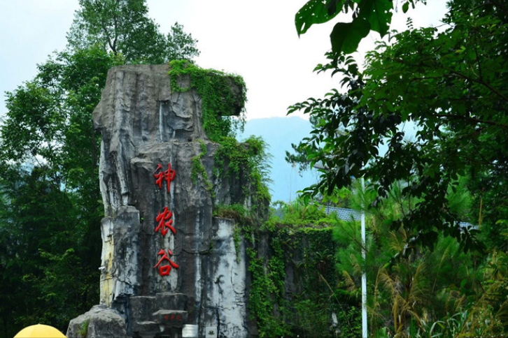 这里因为是森林公园,所以这里的生态环境很好