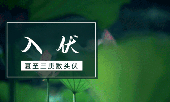 加長版的入伏時間表來了三伏天長達40天今夏會很熱嗎