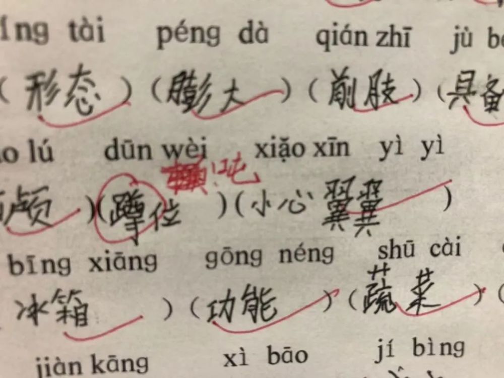 大家紛紛發來自己家的錯別字來安慰我……我牌氣真好,都沒有揍她,只是