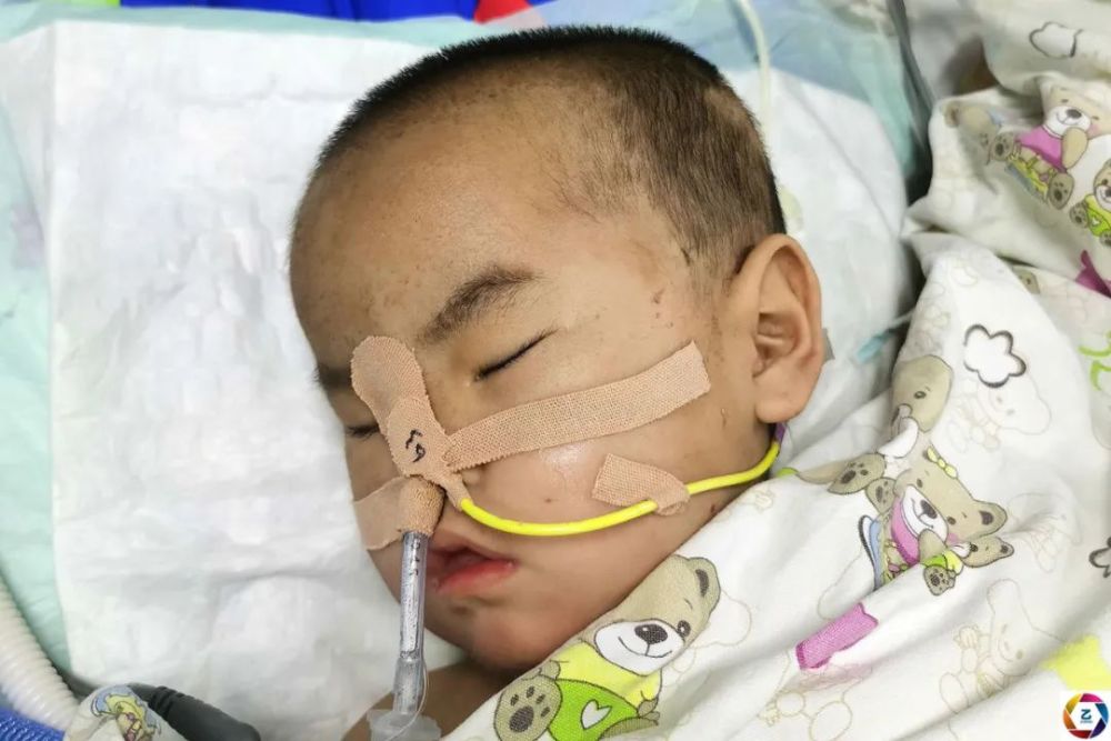 2岁娃在icu昏迷100多天,妈妈以泪洗面,一家14口人的生活被打乱_腾讯新
