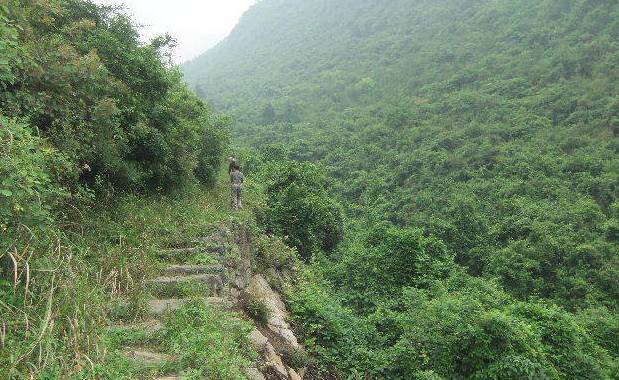 据巫山文物部门考证,南陵古道最迟从唐代就开始使用,清道光,同治年间