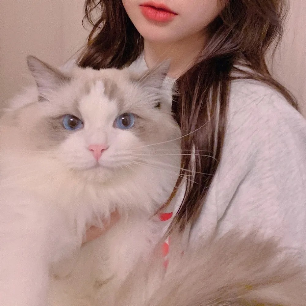 哭出来,女生头像