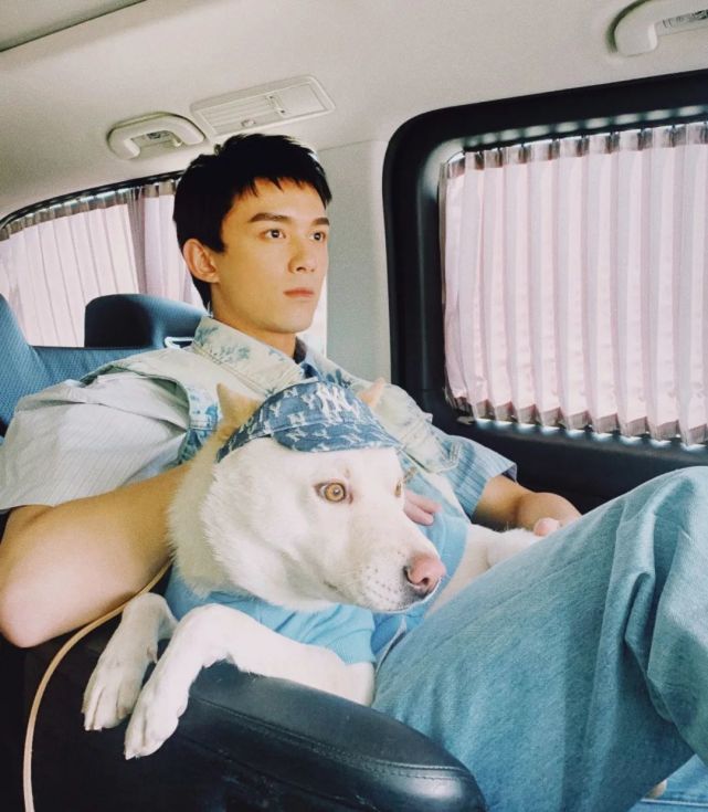 吴磊抱狗姿势冲上热搜网友别人是抱狗他是抱娃哈哈哈