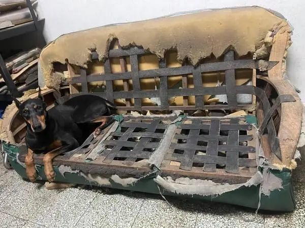 上网求废弃布沙发,她发家里"惨照"笑翻网友:建议买铁椅_腾讯新闻